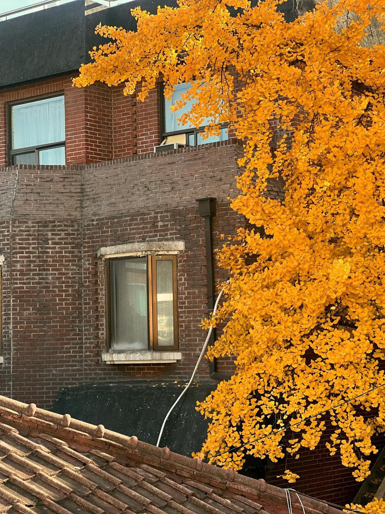 Jnineguesthouse Seoul Ngoại thất bức ảnh